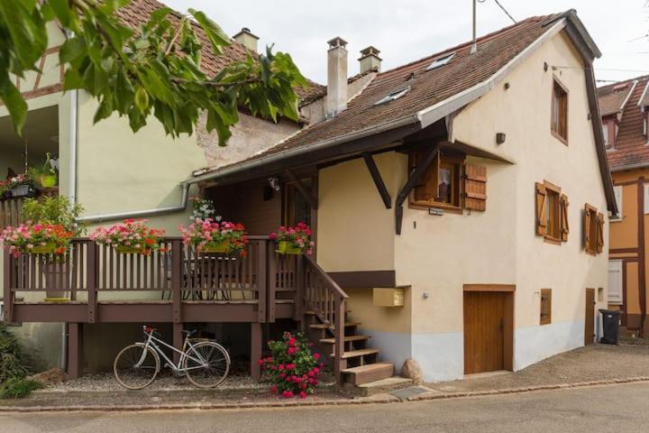 Gite, Maison Independante "Chez Yvette Et Andre" 2 A 6 Pers, Ribeauville A 3 Km, Colmar A 10 Km Guemar Exterior photo