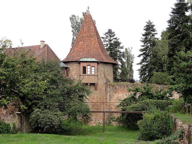 Gite, Maison Independante "Chez Yvette Et Andre" 2 A 6 Pers, Ribeauville A 3 Km, Colmar A 10 Km Guemar Exterior photo