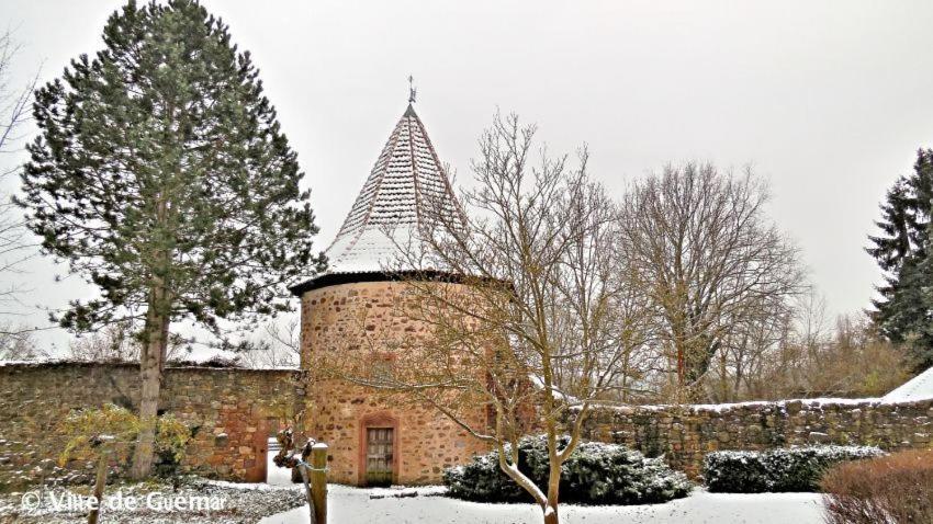 Gite, Maison Independante "Chez Yvette Et Andre" 2 A 6 Pers, Ribeauville A 3 Km, Colmar A 10 Km Guemar Exterior photo