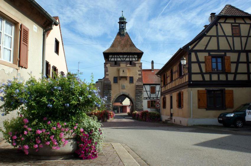 Gite, Maison Independante "Chez Yvette Et Andre" 2 A 6 Pers, Ribeauville A 3 Km, Colmar A 10 Km Guemar Exterior photo